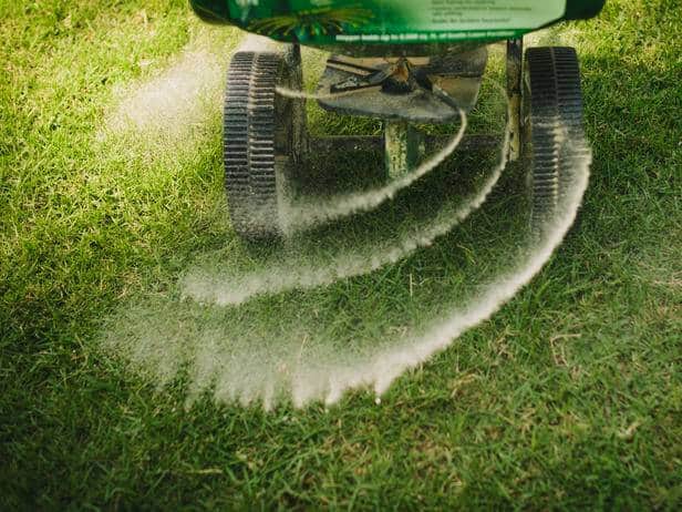 Lawn Care Services Near Me: Choosing a Local Company ...