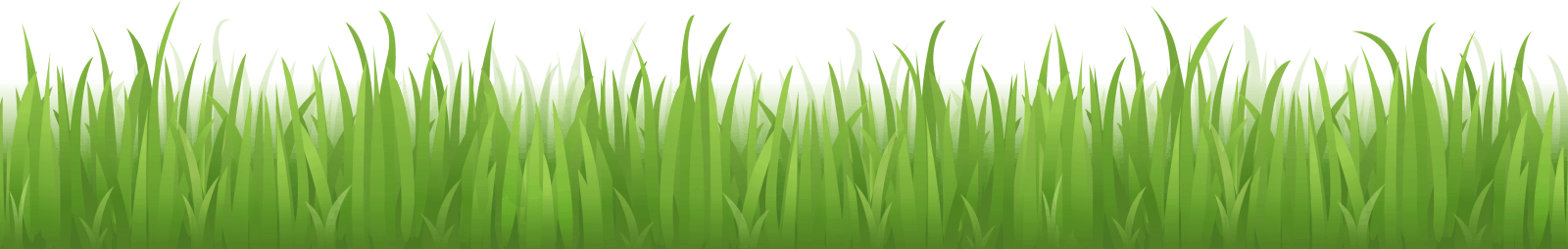 grass_pixelgenio – Erbert Lawns