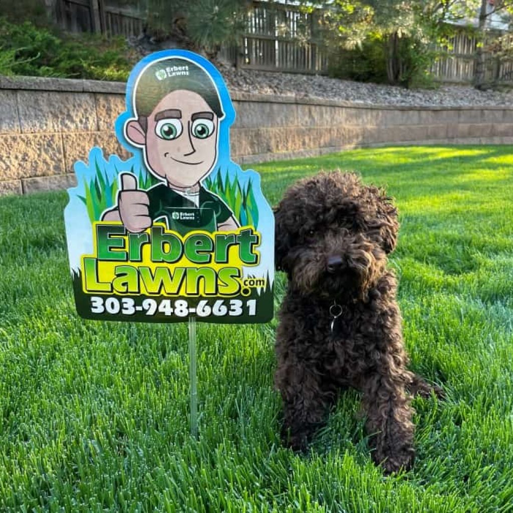 Erbert Lawns helps keep lawns healthy and green.