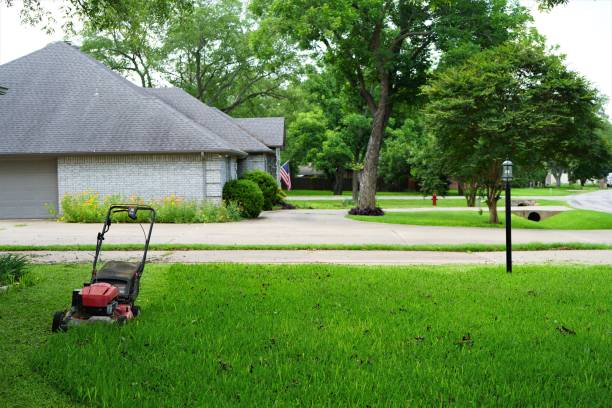 Lawn Mowing and Trimming Erbert Lawns