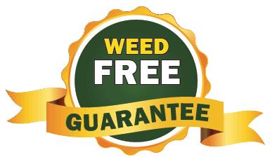 weed-free