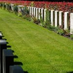 Lawn Edging & Borders