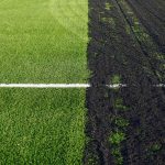 Sod vs. Seed Lawn Establishment