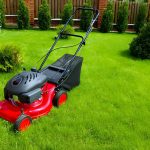 lawn care myths facts