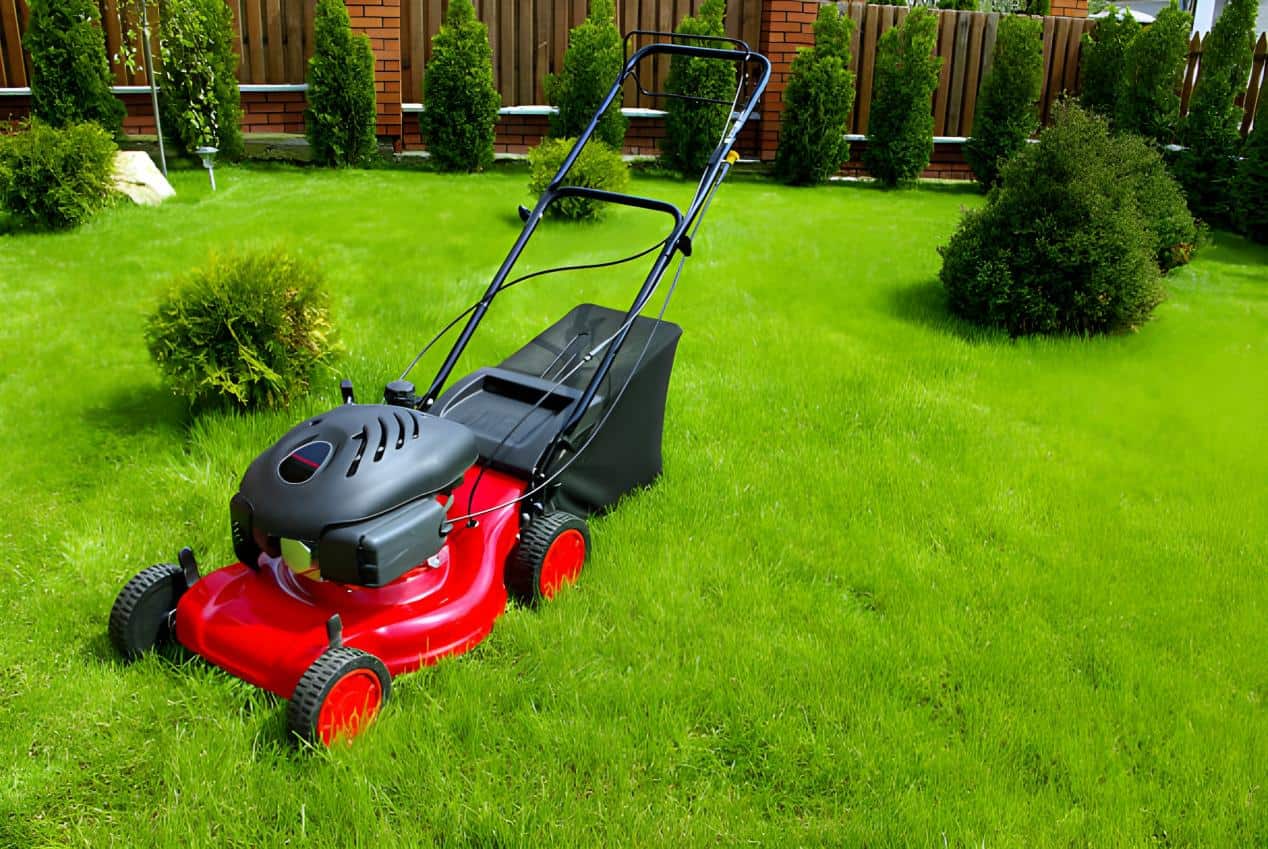 lawn care myths facts