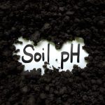 soil-health