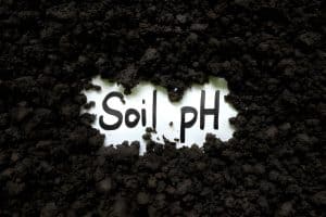 soil-health