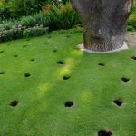 7 Signs Your Lawn Needs Aeration This Season
