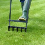 5 Surprising Ways Aeration Can Save Your Lawn