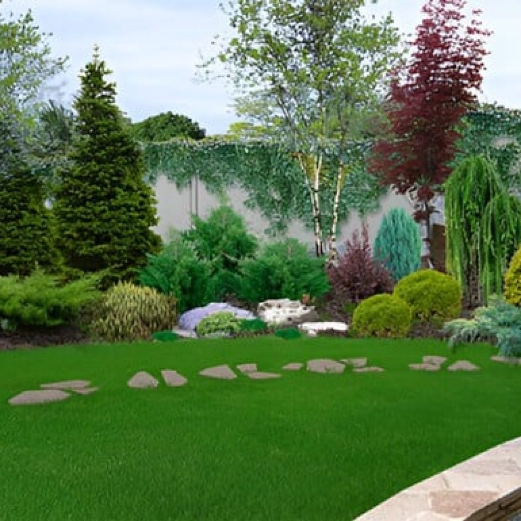 6 Warning Signs Your Lawn Needs Professional Help