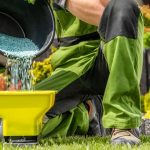 7 Powerful Lawn Fertilization Secrets Professionals Don’t Tell You
