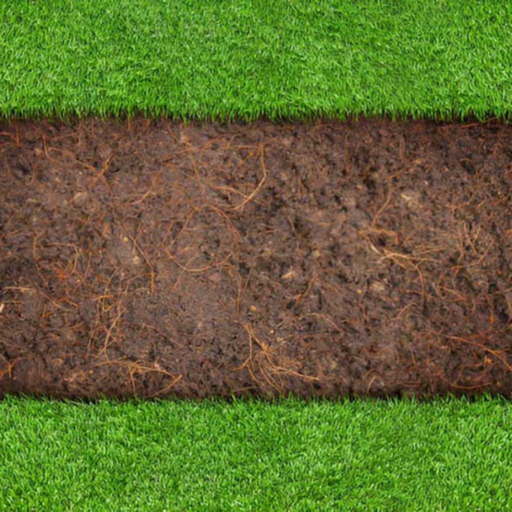 Powerful Soil Secrets for a Deep Green Lawn