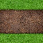 Powerful Soil Secrets for a Deep Green Lawn