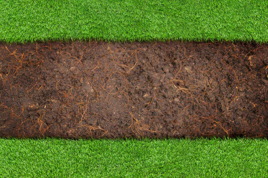Powerful Soil Secrets for a Deep Green Lawn